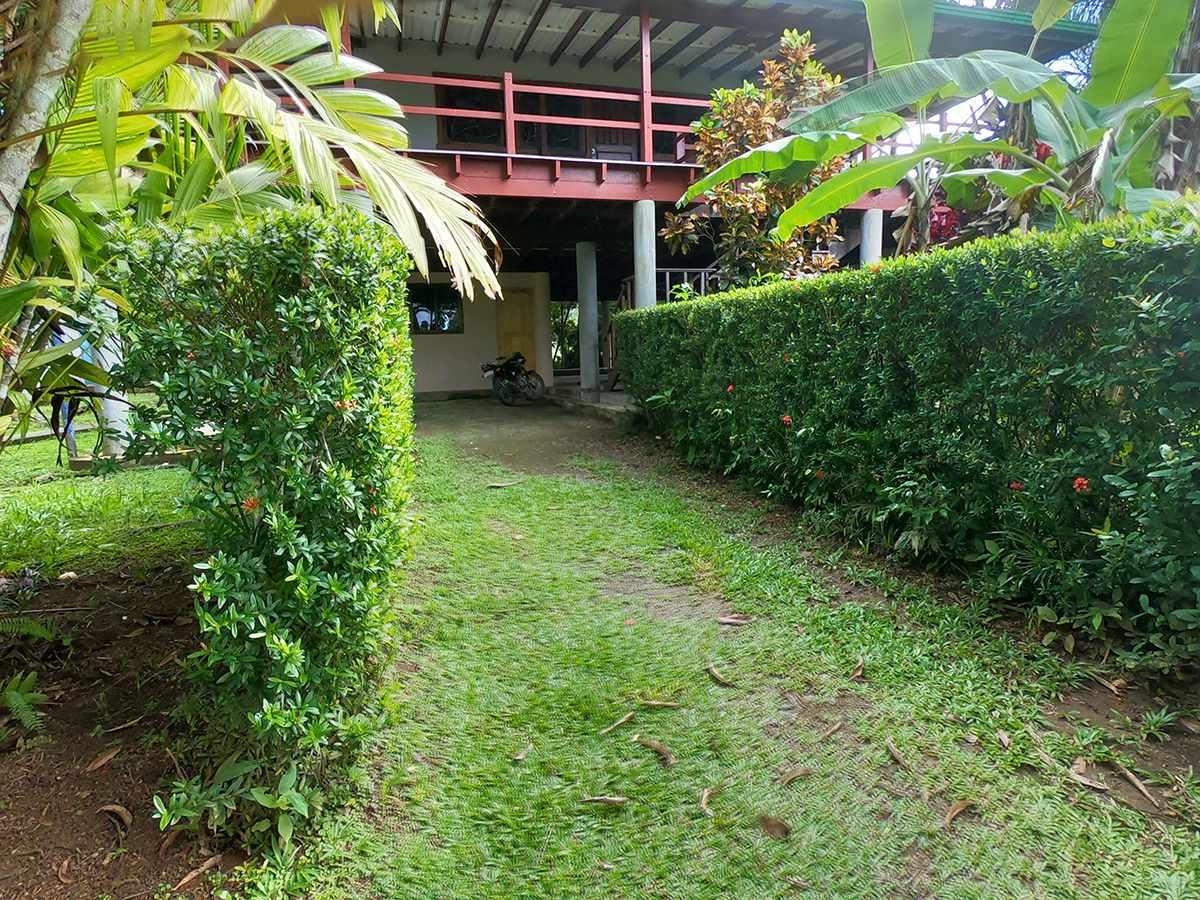 pilon-jungle-house-costa-rica