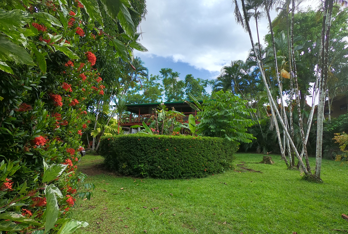 pilon-jungle-house-costa-rica