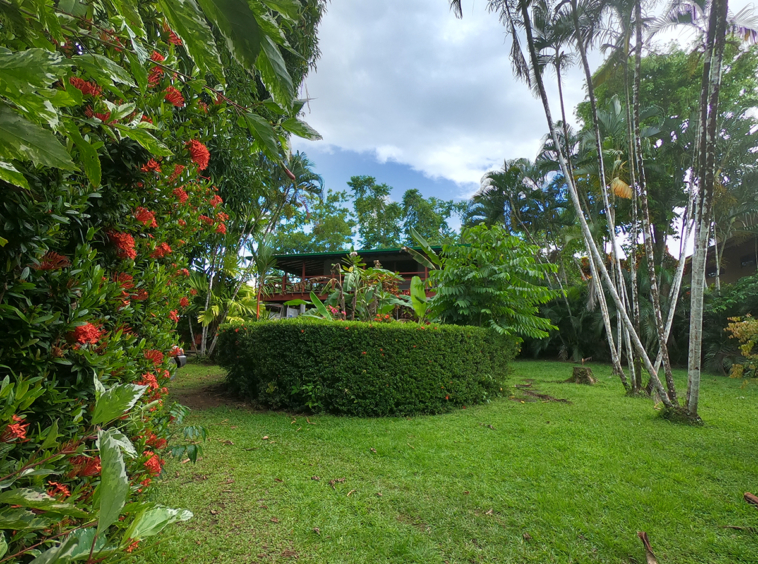 pilon-jungle-house-costa-rica