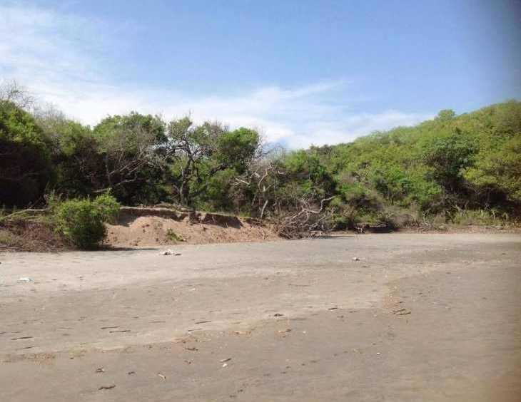 punta-mango-land-for-sale