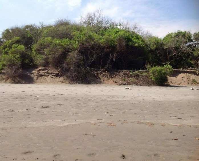 punta-mango-land-for-sale