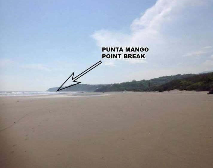 punta-mango-land-for-sale