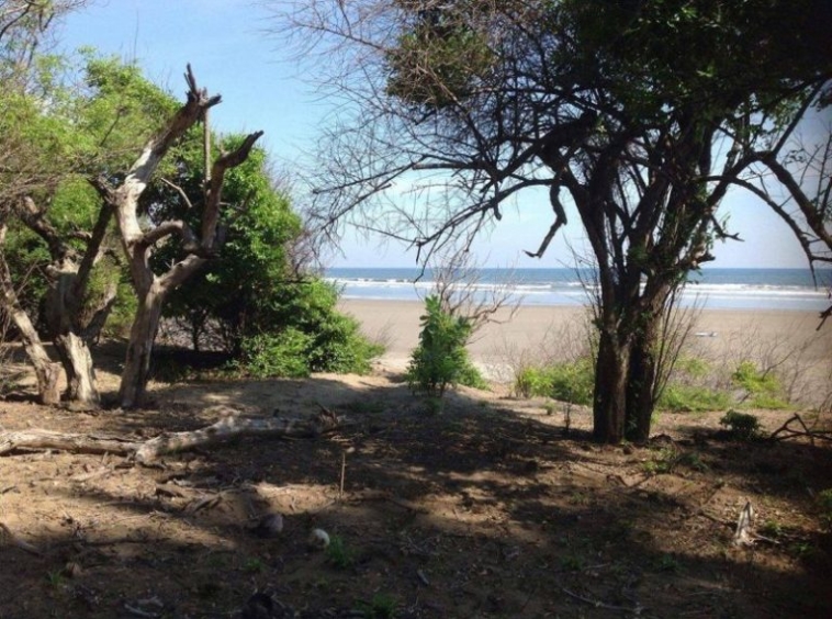 punta-mango-land-for-sale