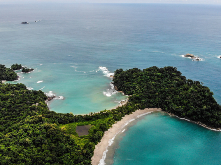 ballena-farm-uvita-costa-rica