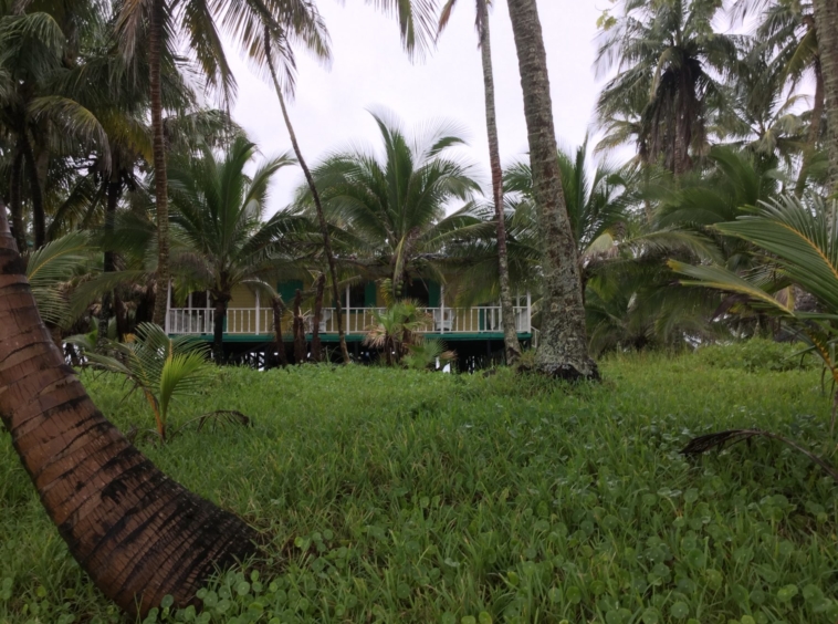 Iguana Island Nicaragua International Surf Properties