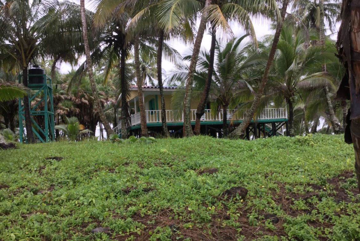 Iguana-Island-Nicaragua