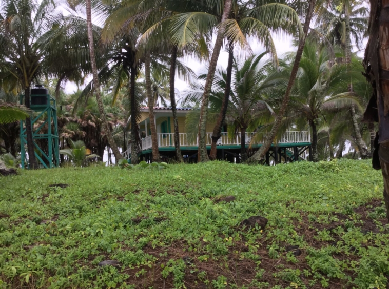 Iguana-Island-Nicaragua