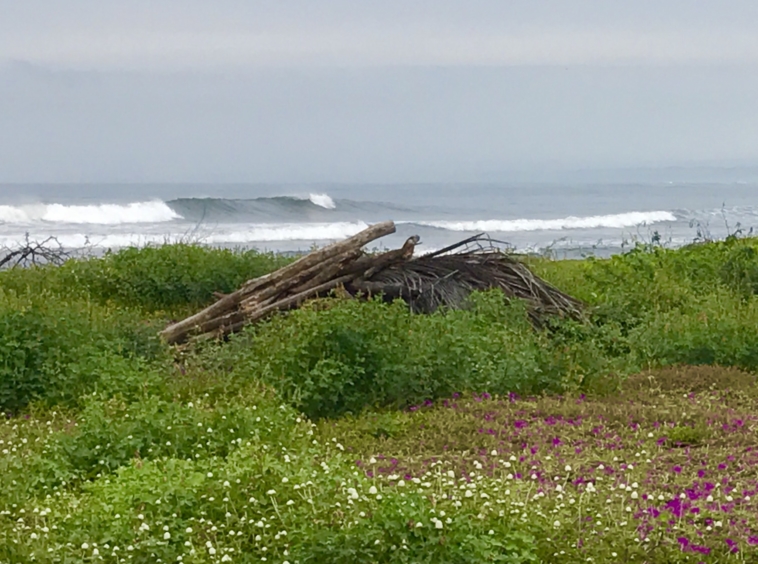 rancho-palo-alto-lots