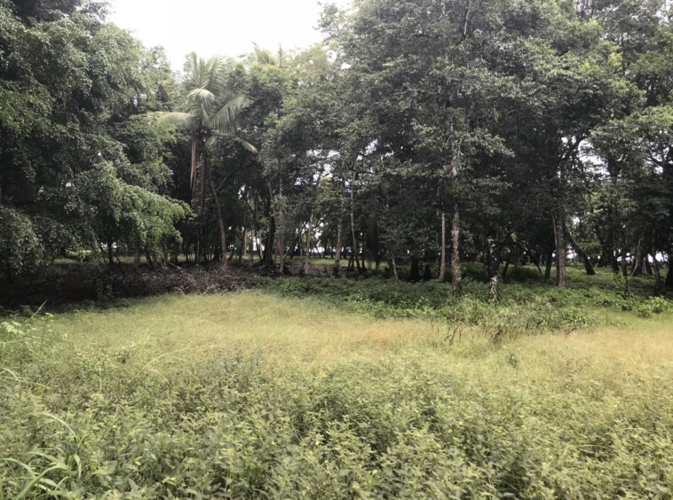 playa-zancudo-lot-for sale