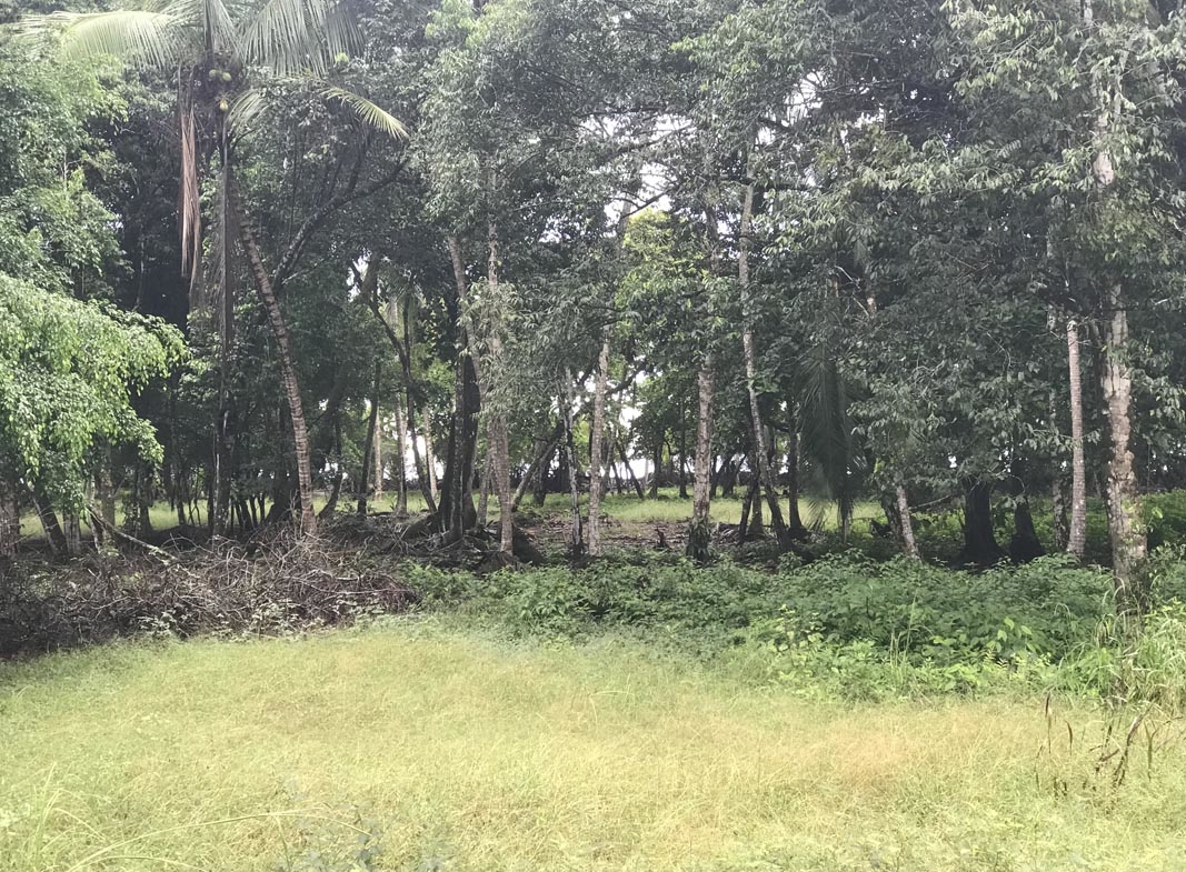 playa-zancudo-lot-for sale