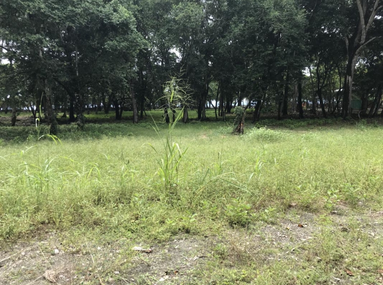 playa-zancudo-lot-for sale