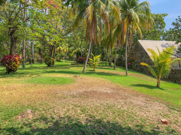 el-zonte-lot-for-sale-el-salvador-surf-property