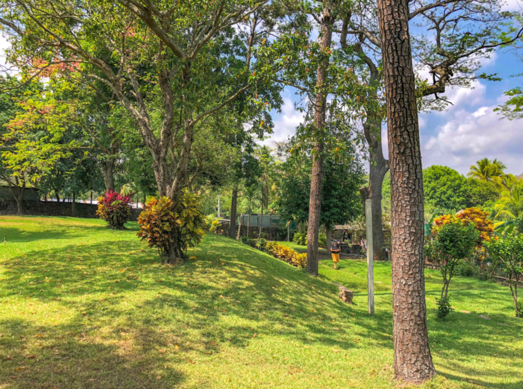 el-zonte-lot-for-sale-el-salvador-surf-property