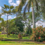 el-zonte-lot-for-sale-el-salvador-surf-property