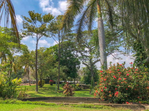 el-zonte-lot-for-sale-el-salvador-surf-property