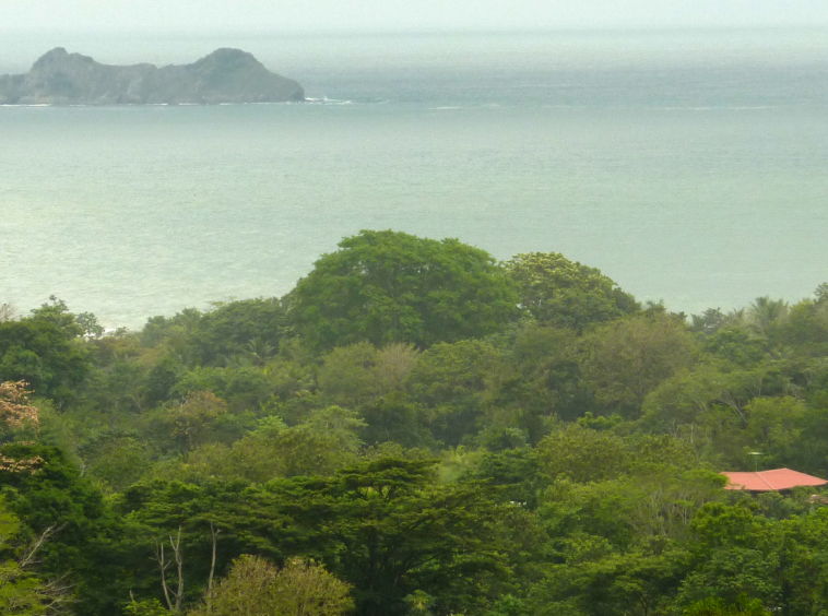 ballena-farm-uvita-costa-rica