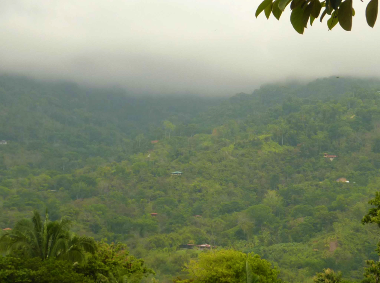 ballena-farm-uvita-costa-rica