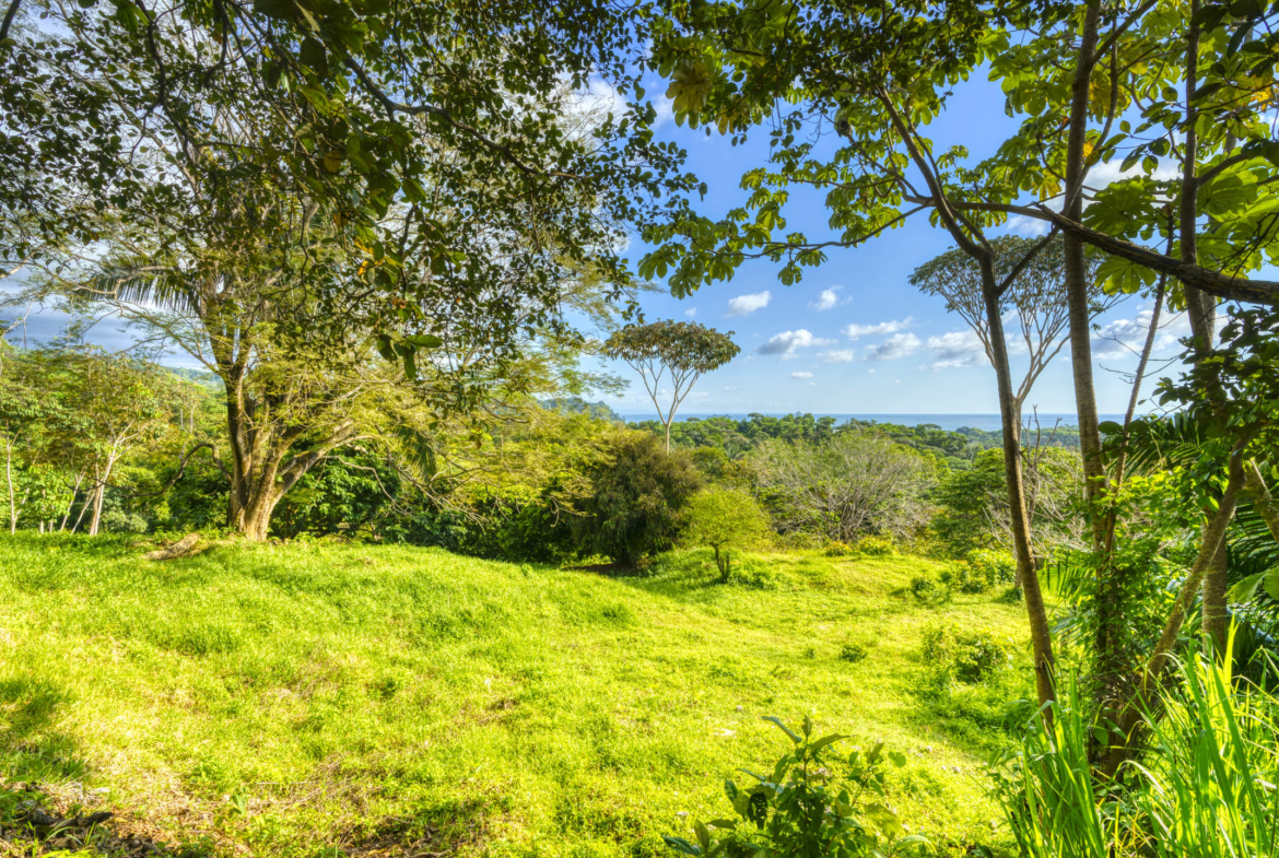 ballena-farm-uvita