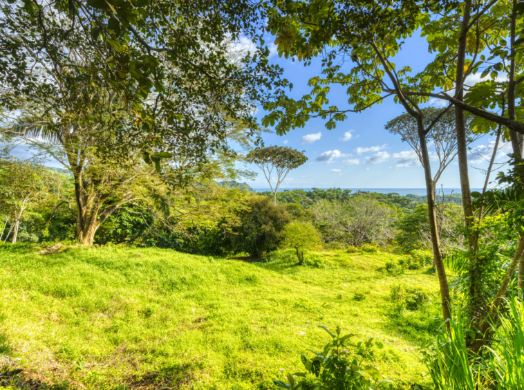 ballena-farm-uvita