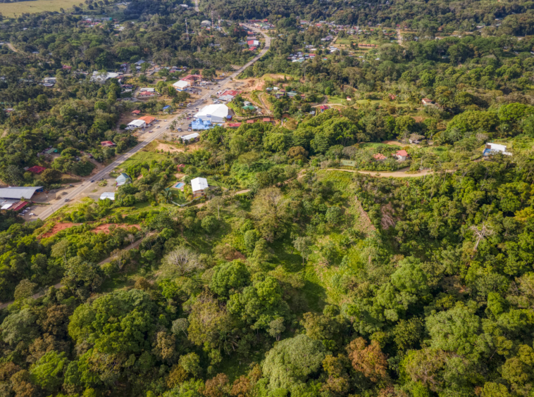 ballena-farm-uvita