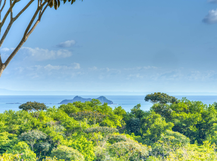 ballena-farm-uvita