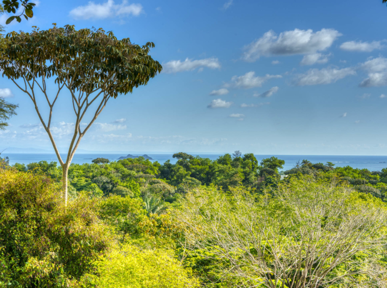 ballena-farm-uvita