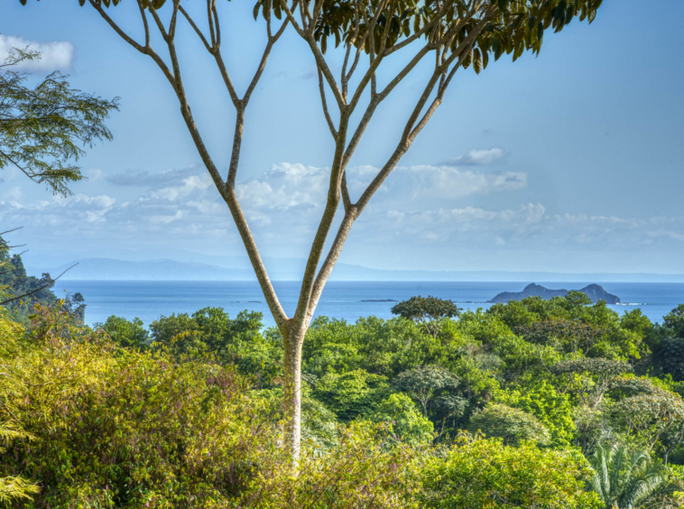 ballena-farm-uvita