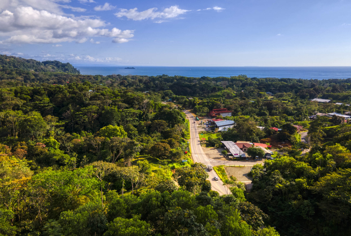 ballena-farm-uvita