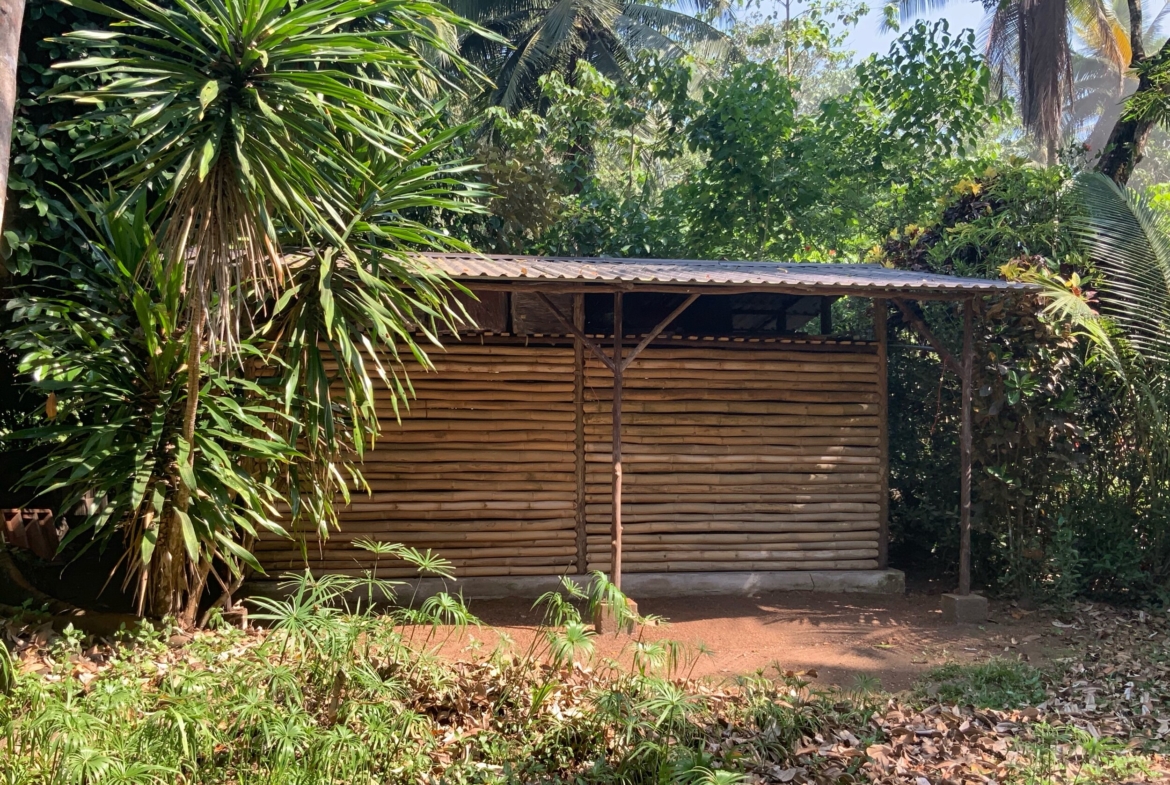 Casa Fenix Playa Zancudo