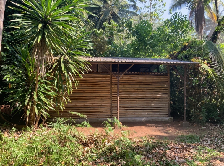 Casa Fenix Playa Zancudo