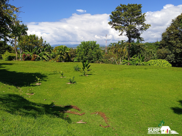 lot-3-belle-vista-pilon-pavones