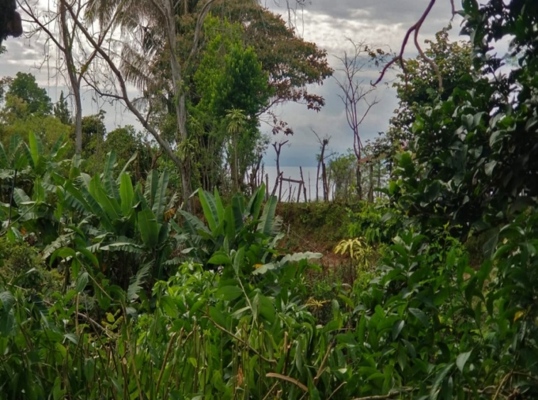 casa-de-los-cielos-cuervito-pavones