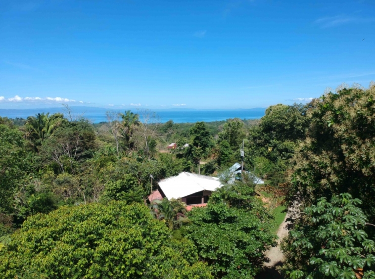 casa-de-los-cielos-cuervito-pavones