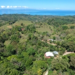 casa-de-los-cielos-cuervito-pavones