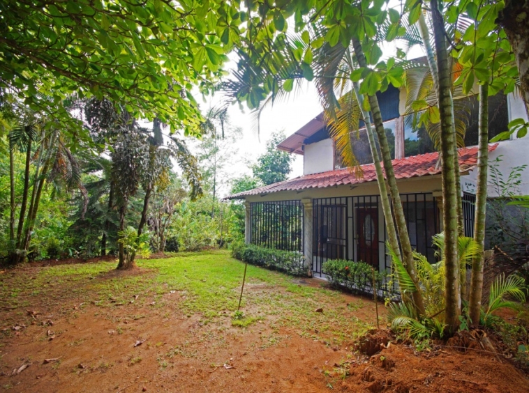casa-de-los-cielos-cuervito-pavones