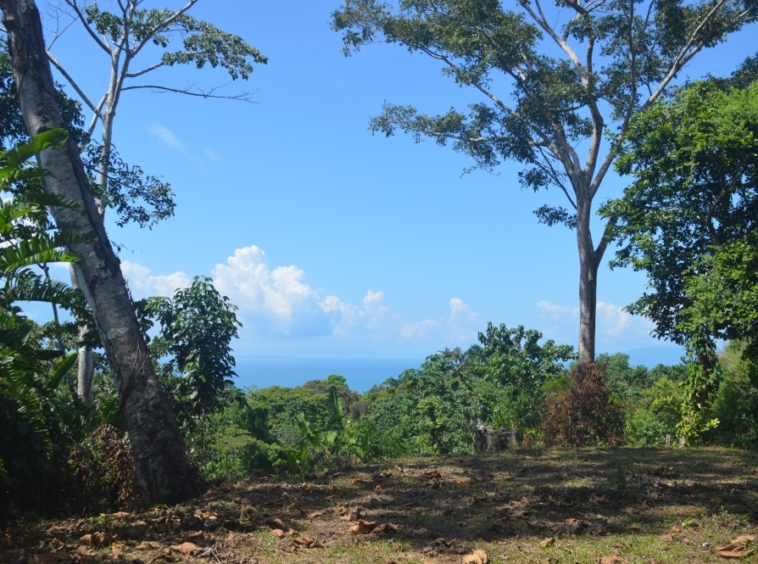 ocean-view-lot-cuervito-pavones