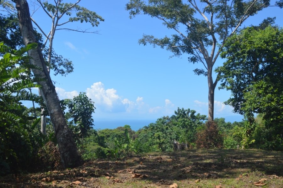 Ocean View Parcel Close to Pavones International Surf Properties