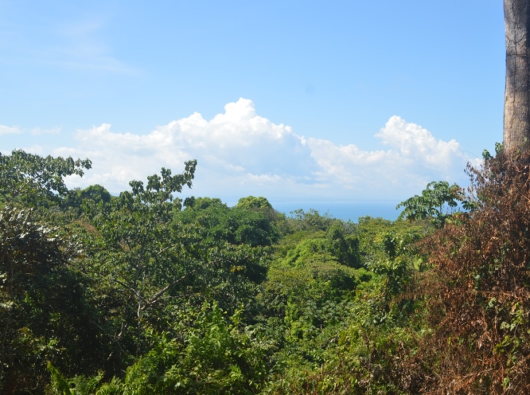 ocean-view-lot-cuervito-pavones