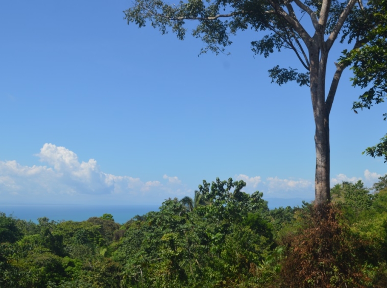 ocean-view-lot-cuervito-pavones