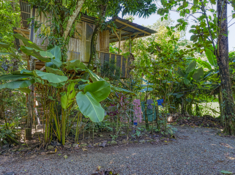 Flutterby House Turn Key Business walking distance to the Beach