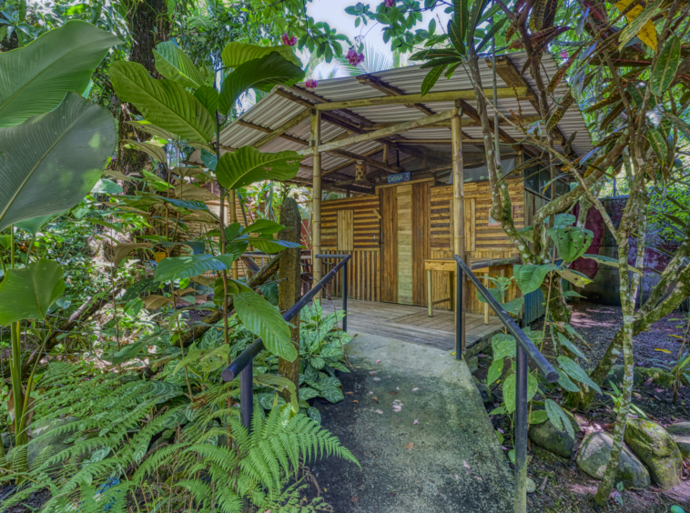 Flutterby House Turn Key Business walking distance to the Beach