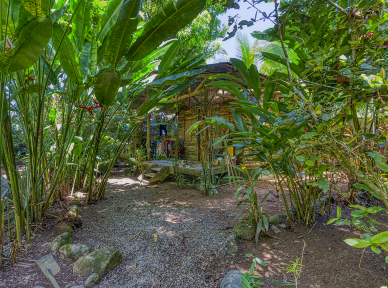 Flutterby House Turn Key Business walking distance to the Beach