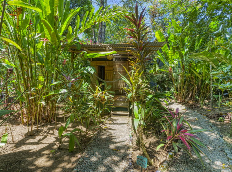 Flutterby House Turn Key Business walking distance to the Beach