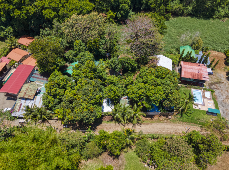 Flutterby House Turn Key Business walking distance to the Beach