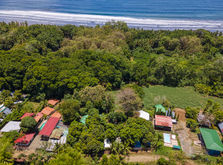 Flutterby House Turn Key Business walking distance to the Beach