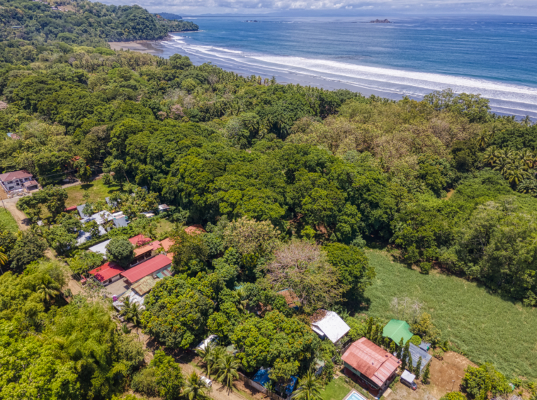 Flutterby House Turn Key Business walking distance to the Beach