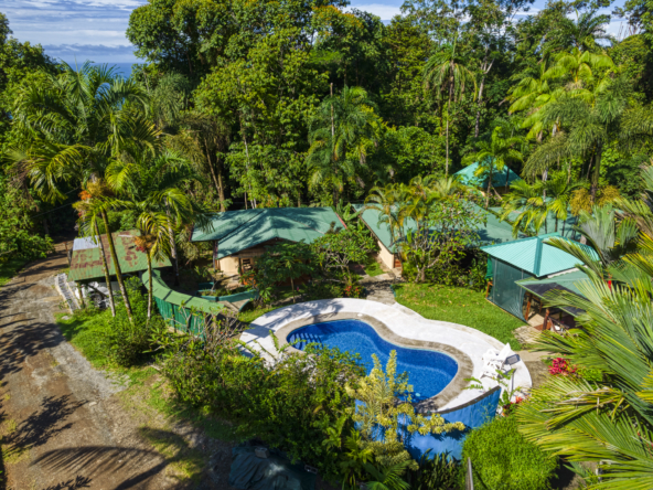 liquid-magic-surf-resort-uvita-costa-rica