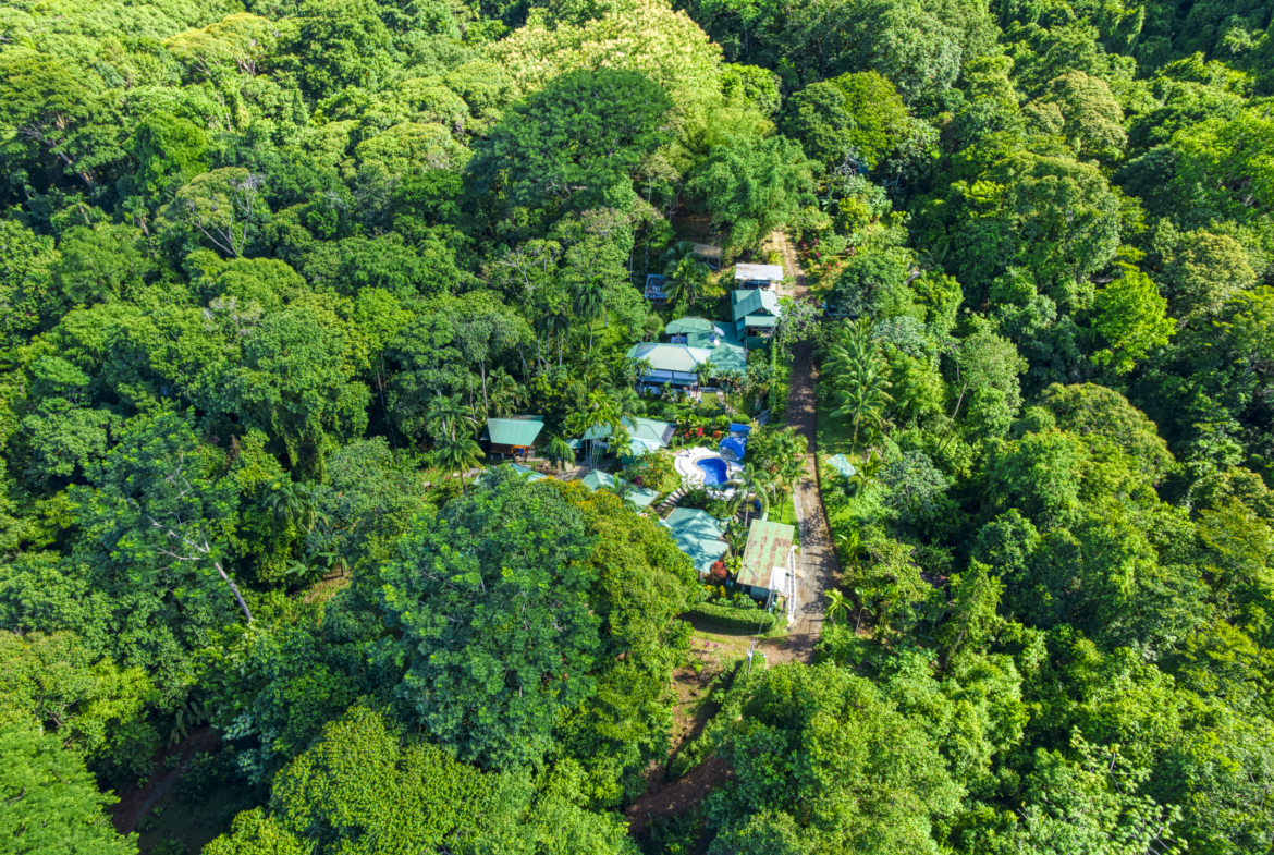 liquid-magic-surf-resort-uvita-costa-rica