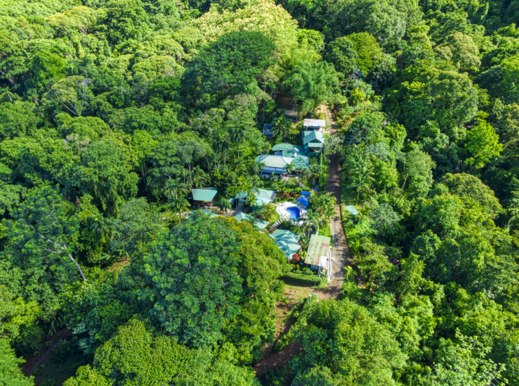 liquid-magic-surf-resort-uvita-costa-rica
