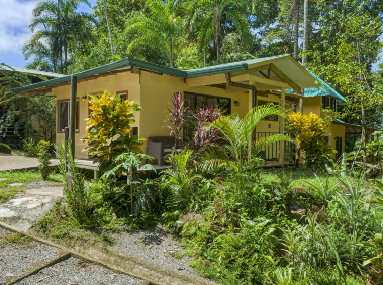 liquid-magic-surf-resort-uvita-costa-rica